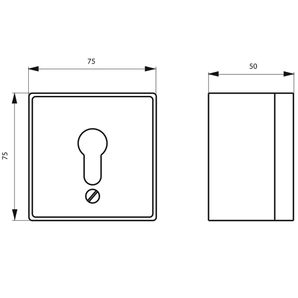 Contacteur à Clé Pour Cylindre Profilé En Applique - Laqué Gris 2 Contacteur à Clé Pour Cylindre Profilé En Applique - Laqué Gris – Image 2