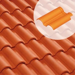 Double Rive + Clip Romane Évolution