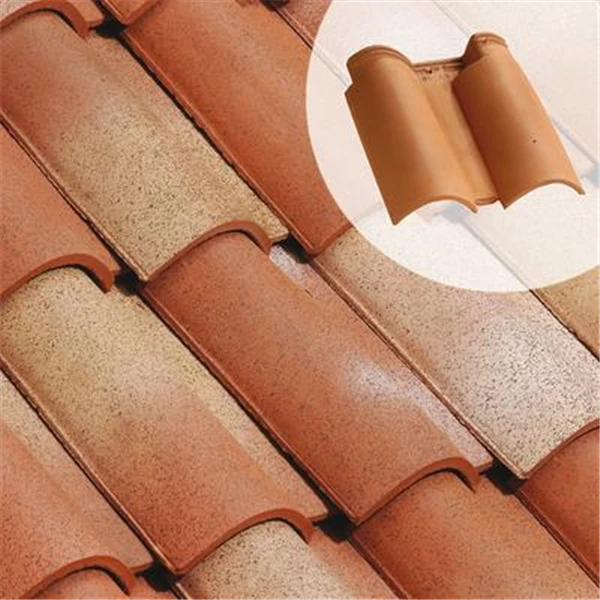 Double Tuile à Bourrelet MÉDIANE PLUS (101.90) 1 Double Tuile à Bourrelet MÉDIANE PLUS (101.90)