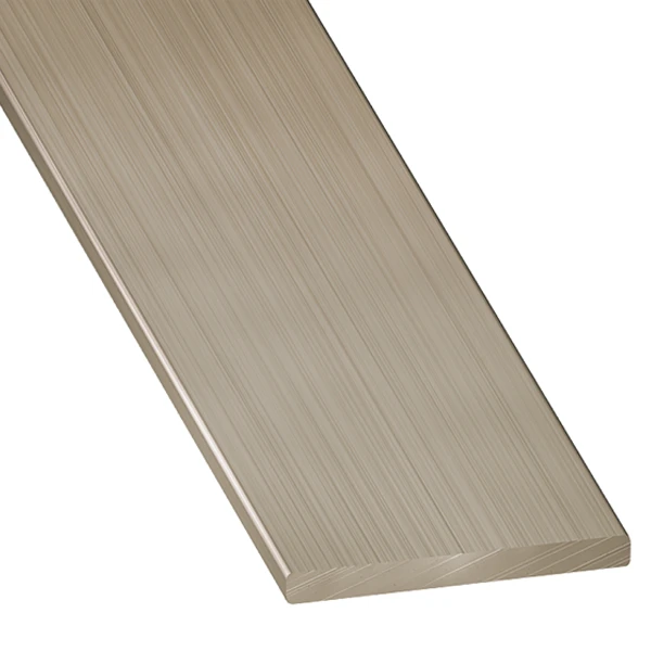 Profilé Plat Inox - Largeur 20 Mm - épaisseur 3 Mm - Longueur 2 M CQFD 2022-5630 1 Profilé Plat Inox - Largeur 20 Mm - épaisseur 3 Mm - Longueur 2 M CQFD 2022-5630