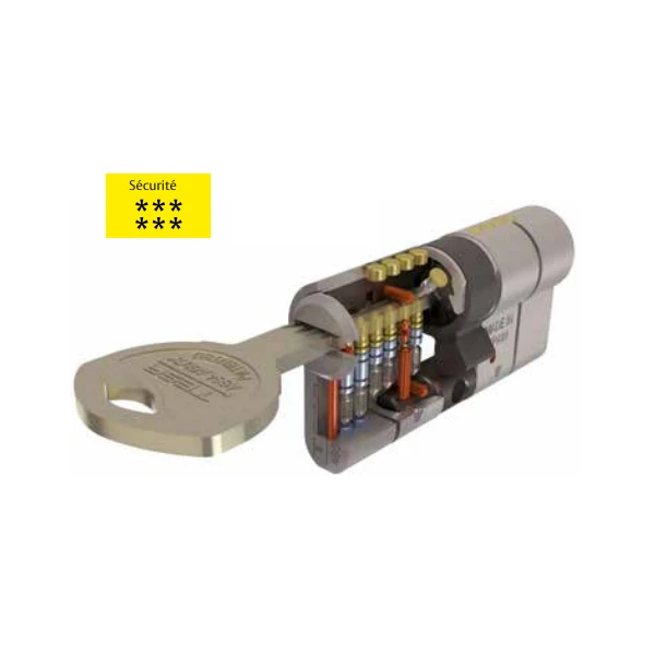 Cylindre Haute Sûreté Tesa T70 - Nickelé - 5 Clés - 30 X 50 Mm 2 Cylindre Haute Sûreté Tesa T70 - Nickelé - 5 Clés - 30 X 50 Mm – Image 2