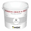 Badigeon Chaux Et Silice WEBER